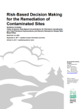 Risk-based Decision Making for the Remediation of Petroleum-contaminated Sites